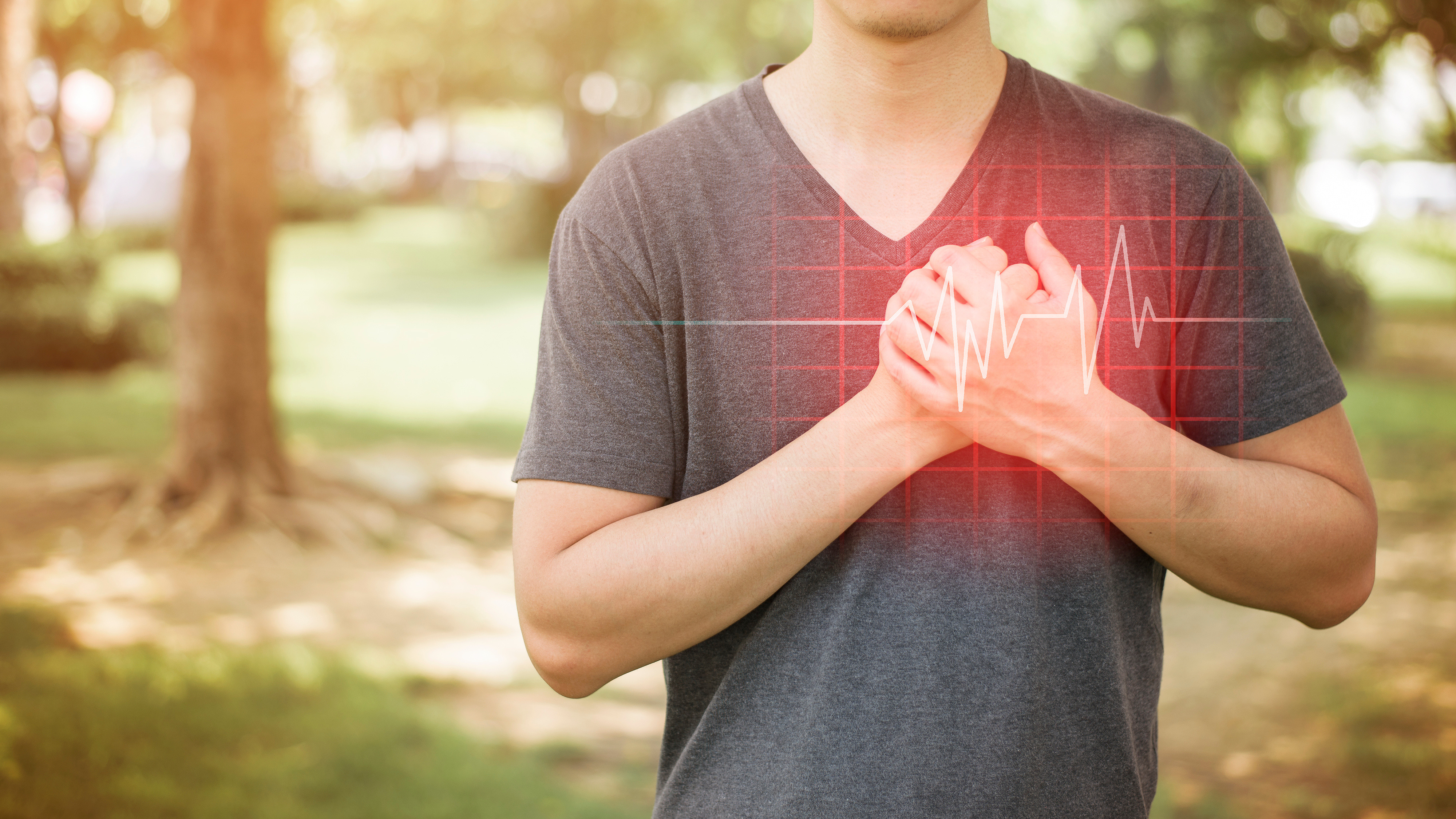 Cardiovascular Disease Banner